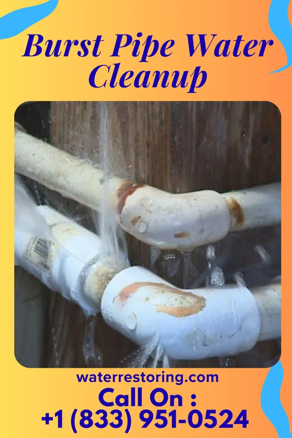 Burst Pipe Water Cleanup in Mauldin, SC
