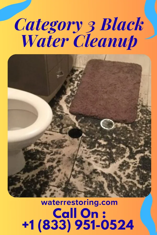 Category 3 Black Water Cleanup in Mauldin, SC