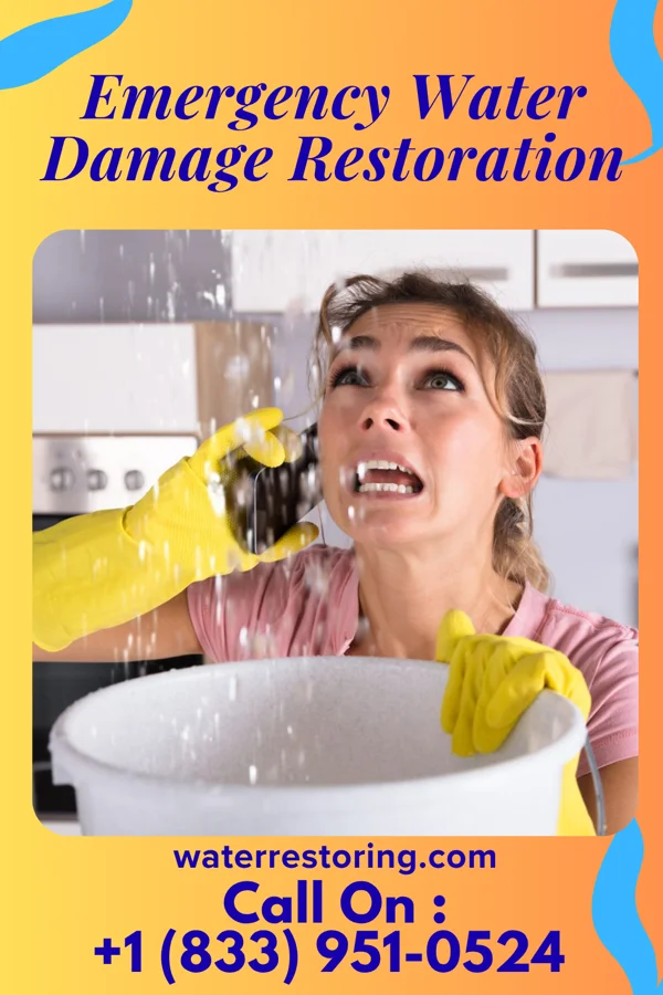 Emergency Water Damage Restoration in Mauldin, SC