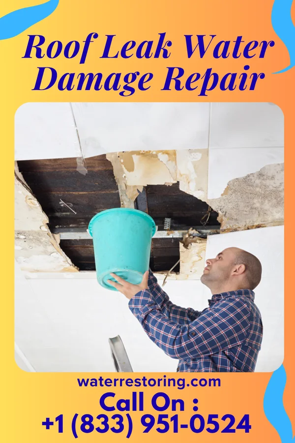 Roof Leak Water Damage Repair in Mauldin, SC